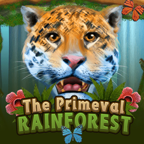 Primeval Rainforest : KA Gaming