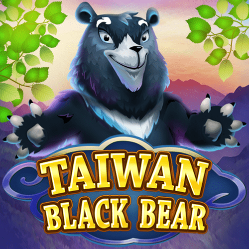 Taiwan Black Bear : KA Gaming